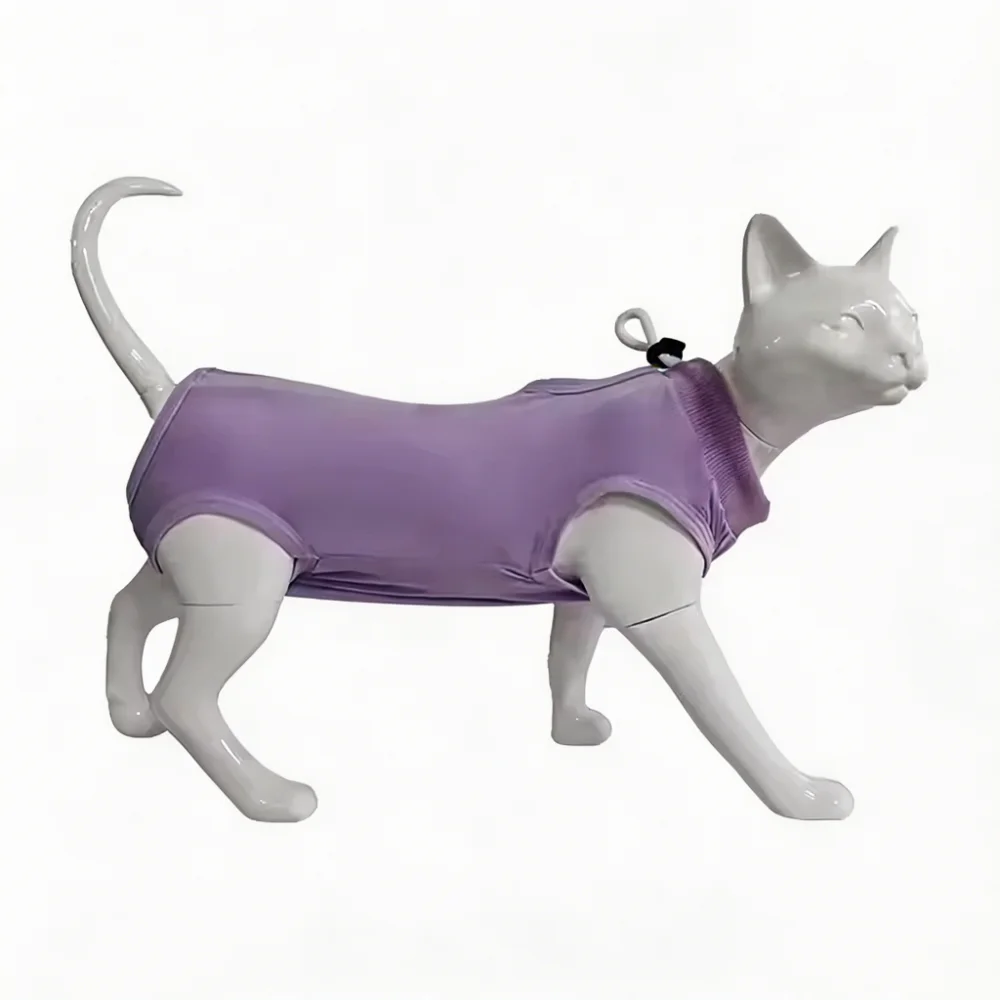 Cat Recovery Suit After Surgery