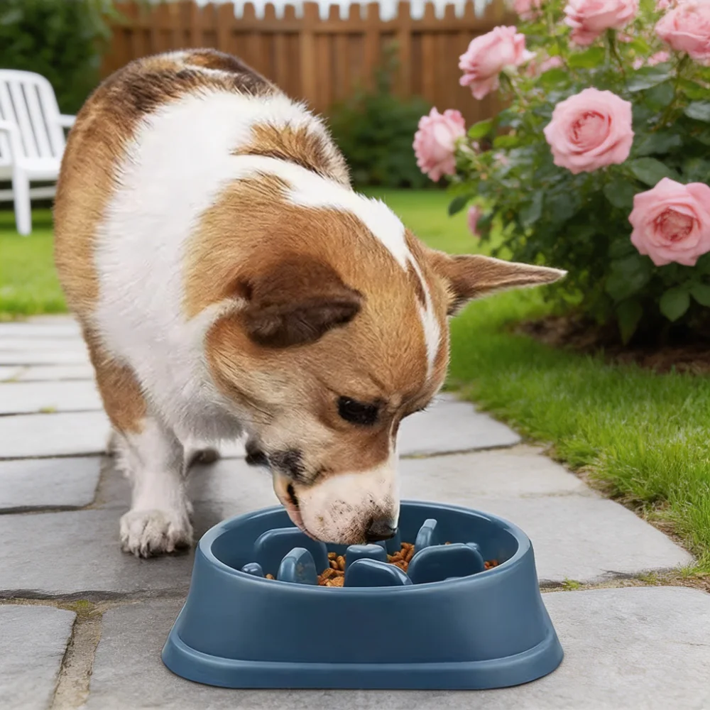 Slow Feeder Dog Cat Bowl with Maze Design